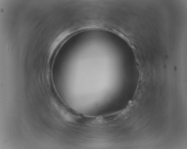 X0000077330152200611101532