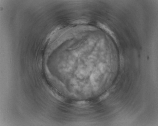 X0000077330153200611101532