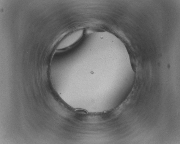 X0000077330154200611101532