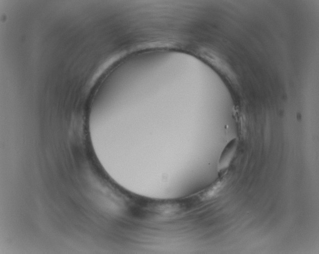 X0000077330156200611101532