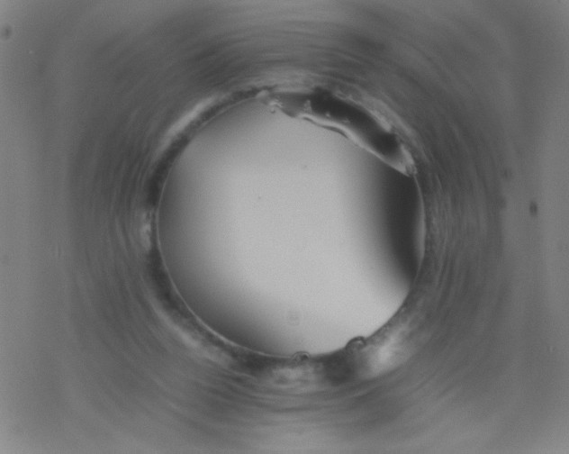 X0000077330160200611101532