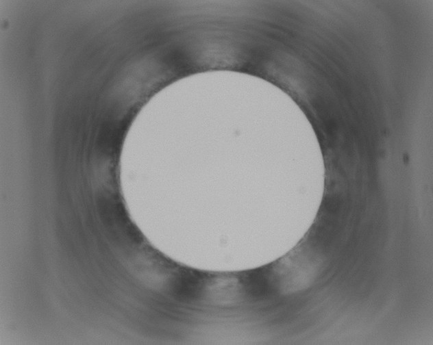 X0000077330162200611101532