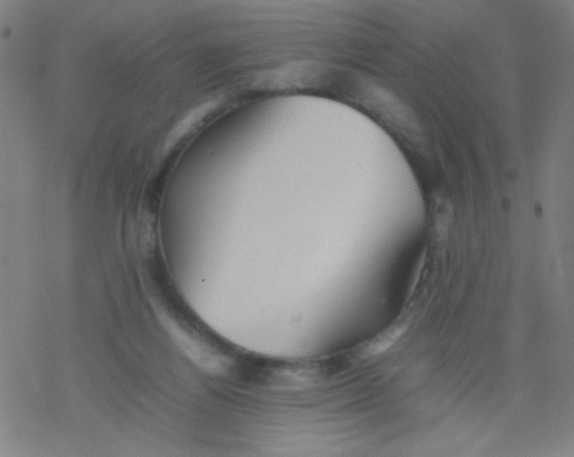 X0000077330164200611101532