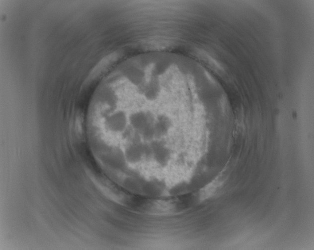 X0000077330166200611101533