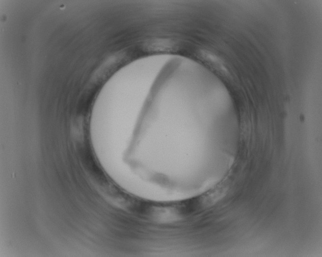 X0000077330167200611101533