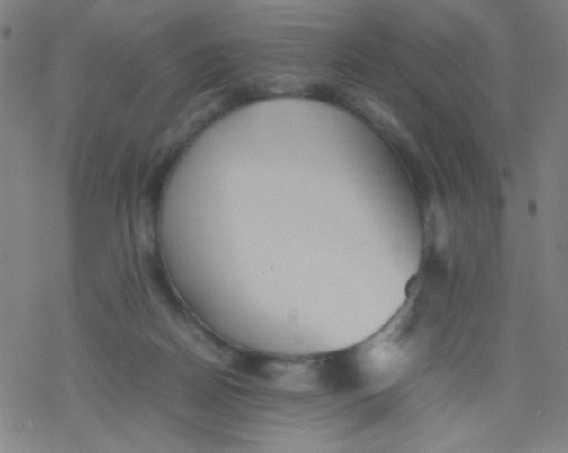 X0000077330170200611101533