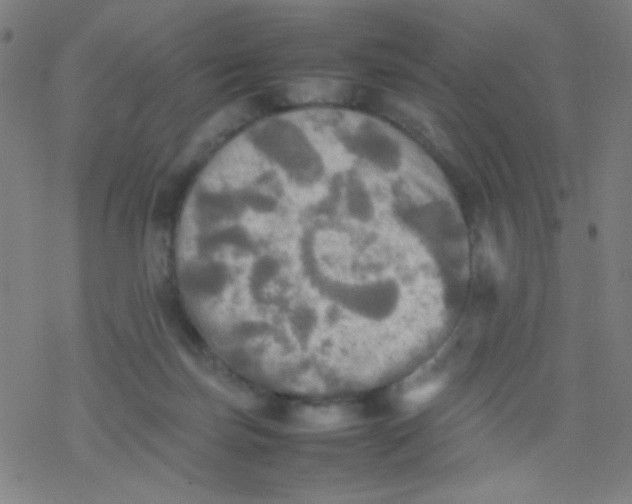 X0000077330171200611101533