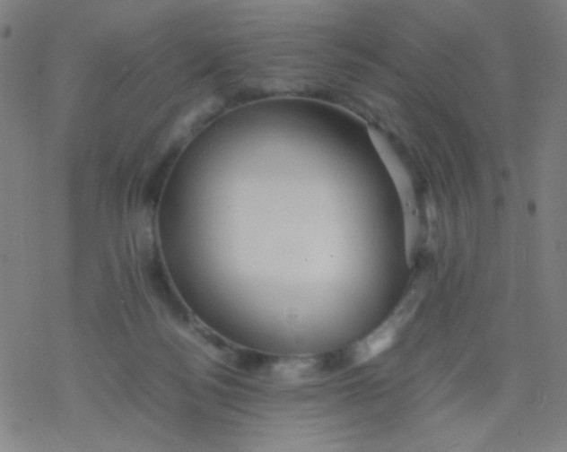 X0000077330172200611101533