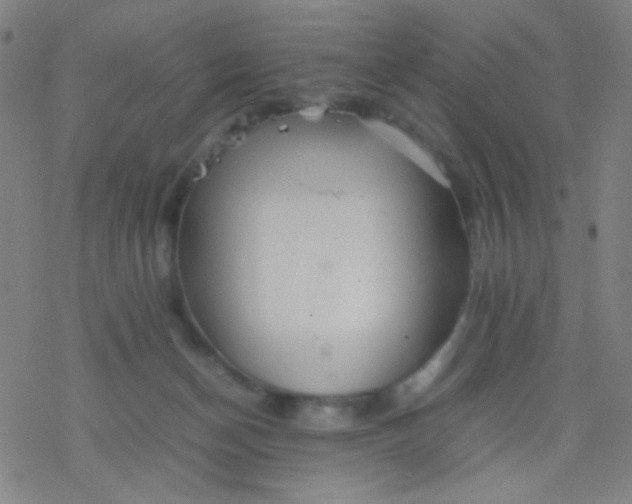 X0000077330174200611101533