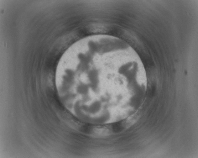 X0000077330175200611101533