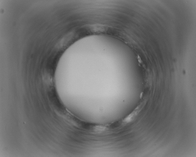 X0000077330176200611101533