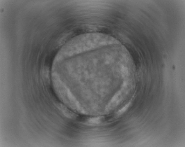 X0000077330178200611101533