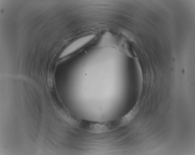 X0000077330180200611101533