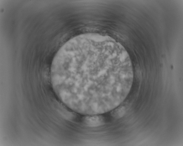 X0000077330181200611101533