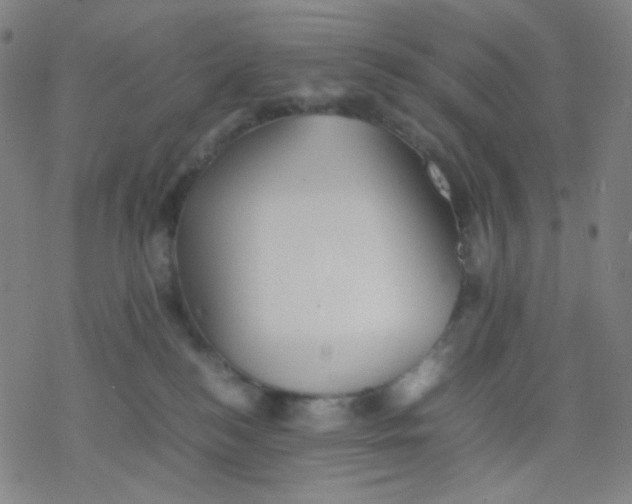 X0000077330184200611101533