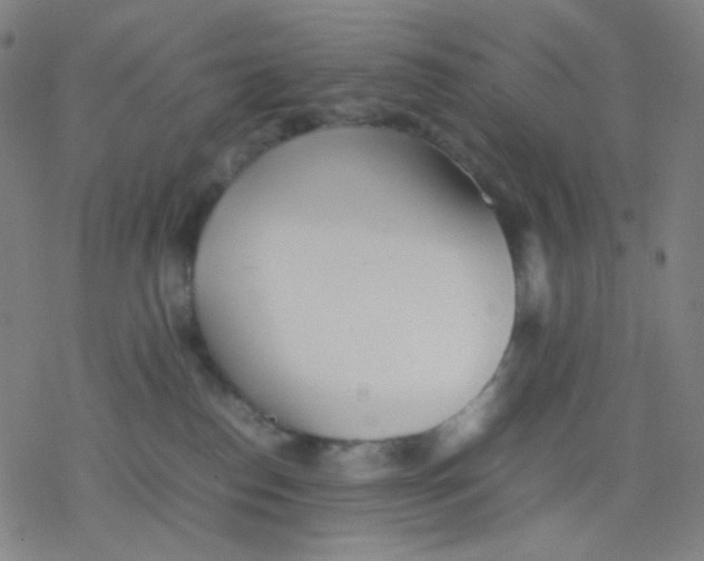 X0000077330186200611101533