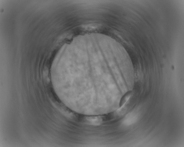 X0000077330187200611101533