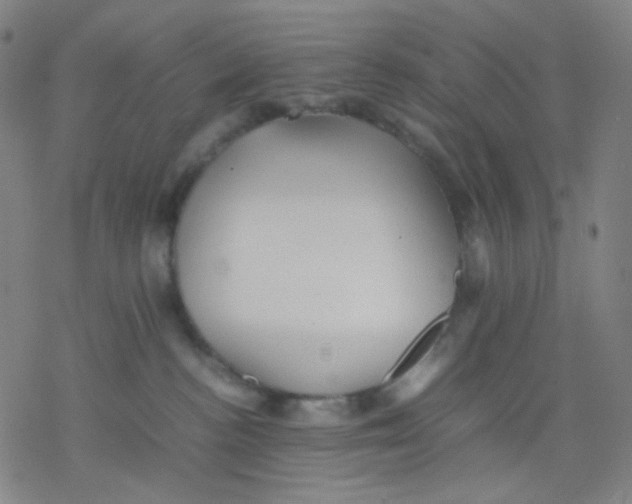 X0000077330188200611101533