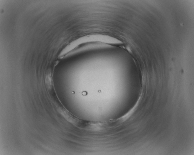 X0000077330190200611101533