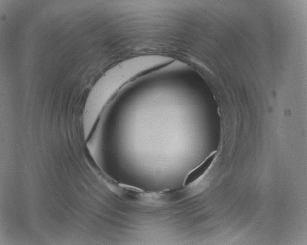 X0000077330192200611101533