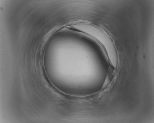 X0000077330193200611101532