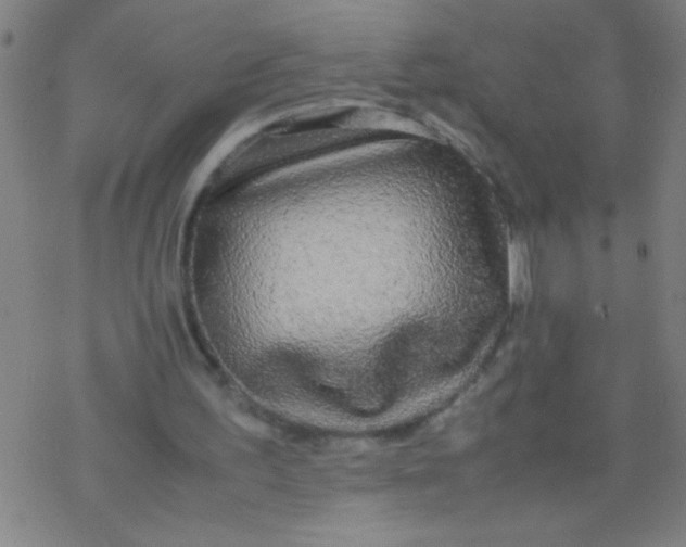 X0000077330195200611101532