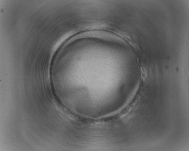 X0000077330196200611101532