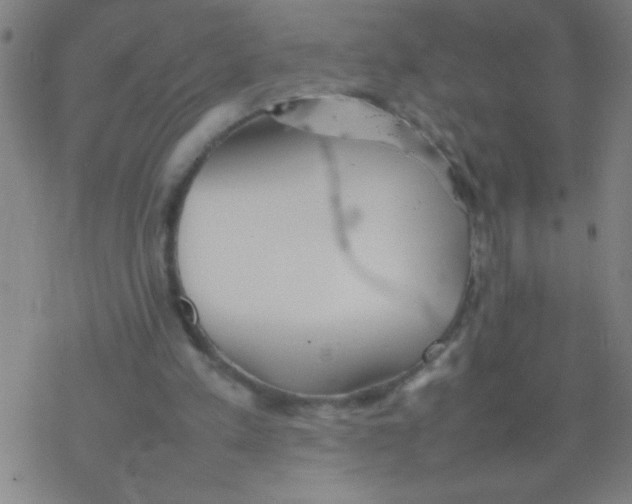 X0000077330197200611101532