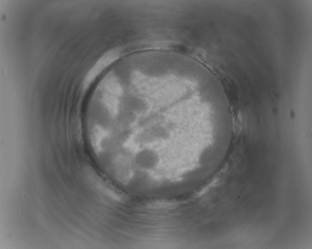 X0000077330198200611101532