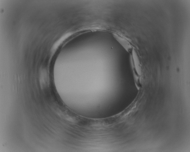 X0000077330200200611101532