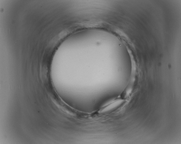 X0000077330201200611101532