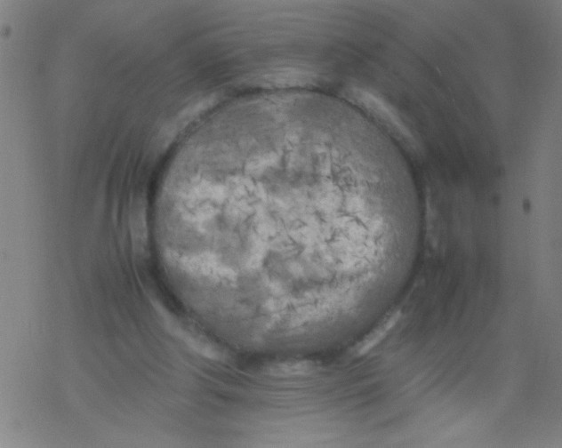 X0000077330202200611101532