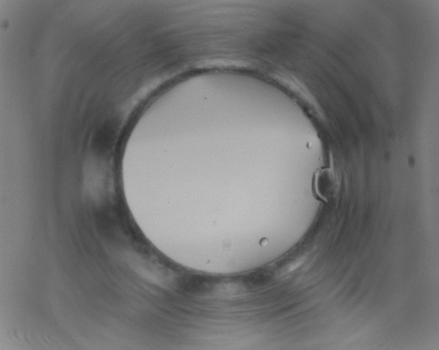 X0000077330204200611101532