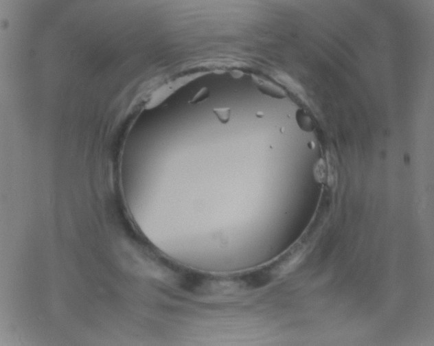 X0000077330205200611101532