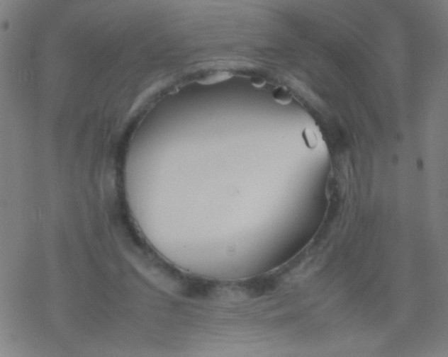 X0000077330207200611101532