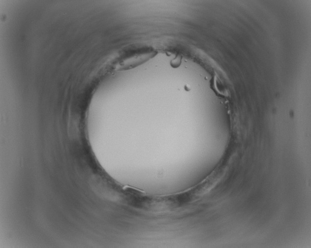 X0000077330209200611101532