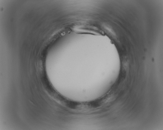 X0000077330211200611101532