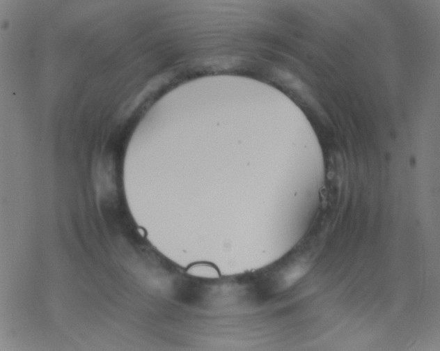 X0000077330212200611101532