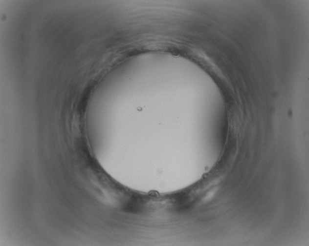 X0000077330213200611101532