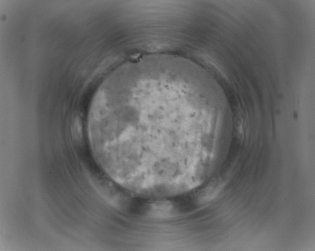 X0000077330214200611101532