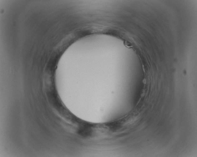 X0000077330215200611101532