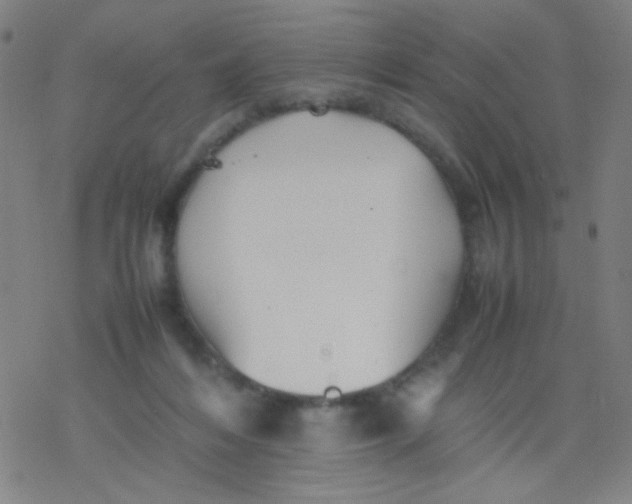 X0000077330216200611101532