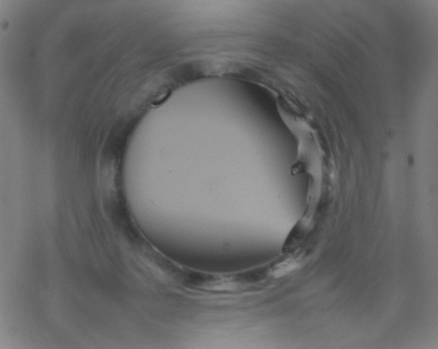 X0000077330219200611101532