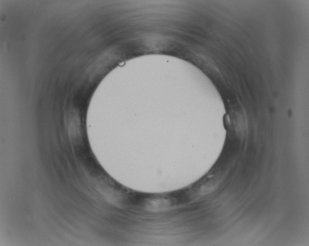 X0000077330220200611101532