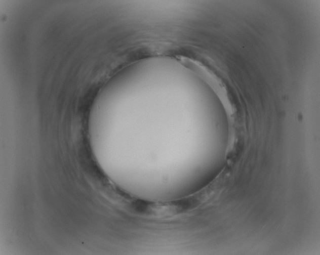 X0000077330221200611101532