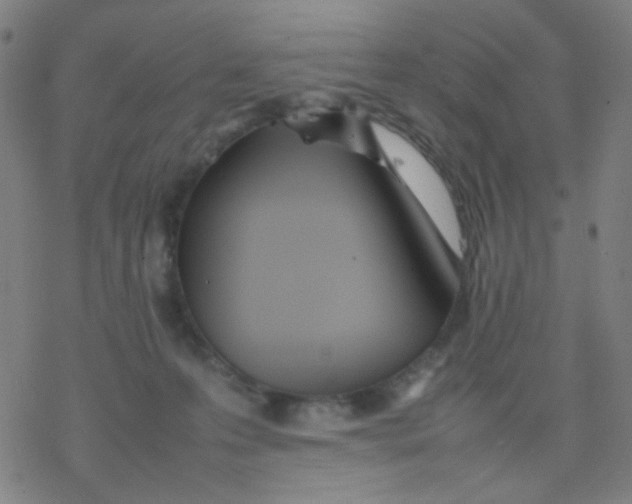 X0000077330223200611101532