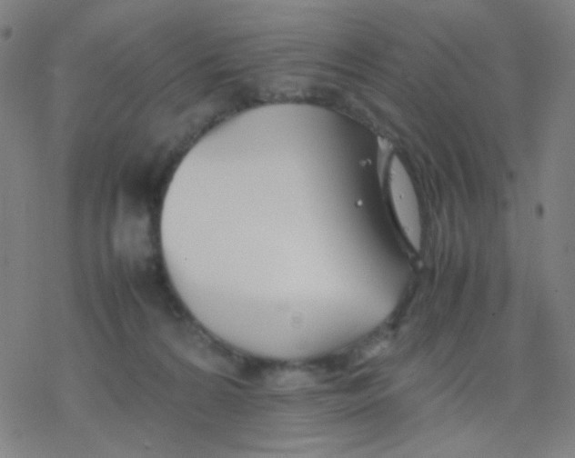 X0000077330224200611101532