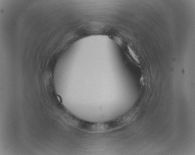 X0000077330225200611101532