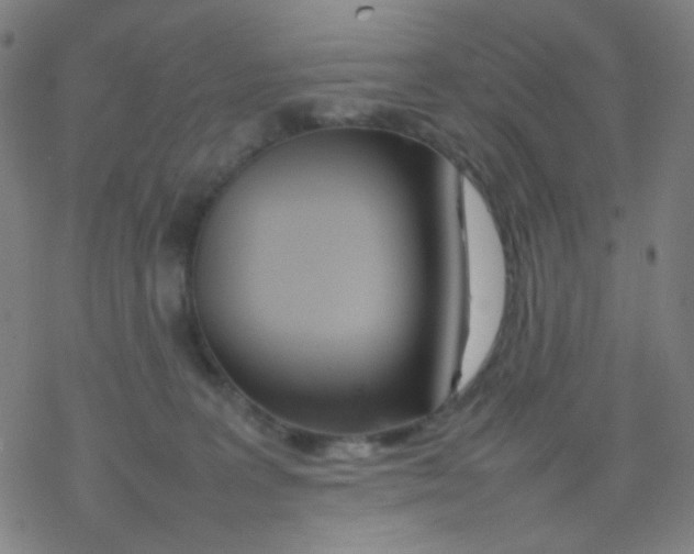 X0000077330227200611101532