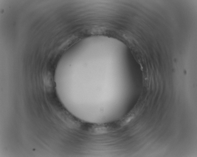 X0000077330228200611101532